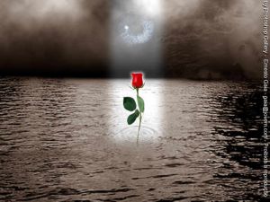 RENACER EN EL SER AMADO